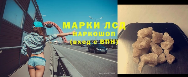 прущие грибы Гусь-Хрустальный