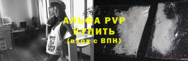 прущие грибы Гусь-Хрустальный