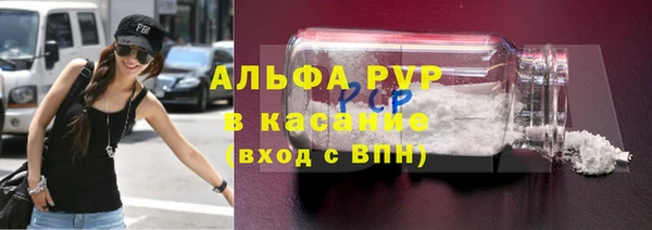 прущие грибы Гусь-Хрустальный