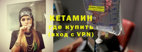 сатива Гусев