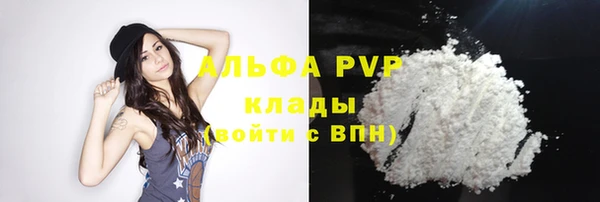 прущие грибы Гусь-Хрустальный