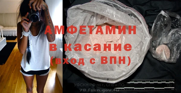 сатива Гусев