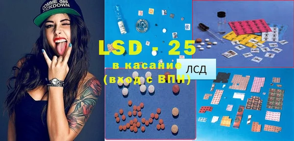 сатива Гусев