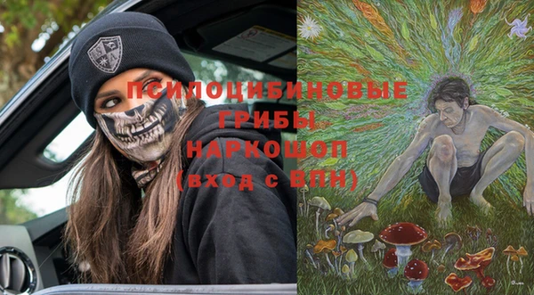 прущие грибы Гусь-Хрустальный
